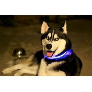 Товары для животных